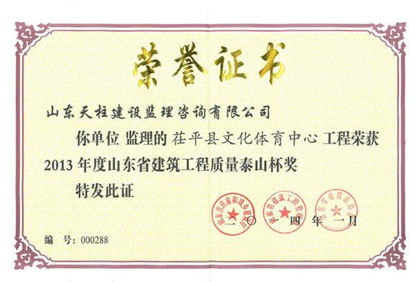 2013年泰山杯茌平县文化体育中心