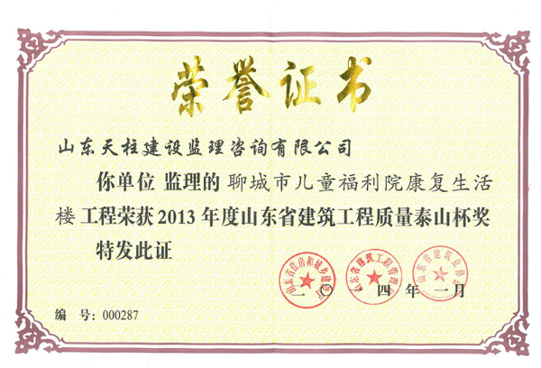 2013年泰山杯聊城市儿童福利院康复生活楼