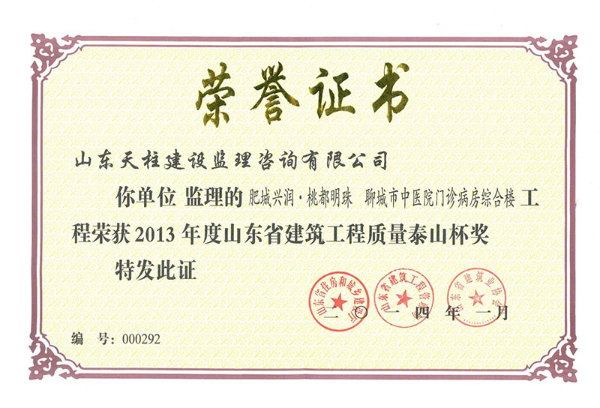 2013年泰山杯聊城市中医院门诊楼