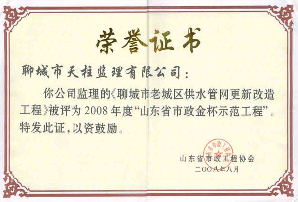老城管网市政金杯奖