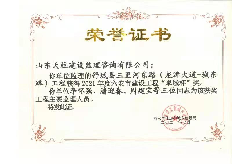 六安市建设工程“皋城杯”——舒城县三里河东路.jpg